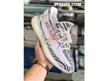 H12 이지부스트 350 V2 지브라