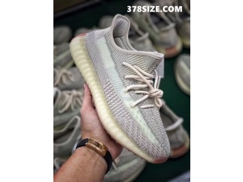 H12 이지부스트 350 V2 시트린